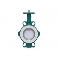 interapp金屬閥體 DN 32-900適用腐蝕性流體PTFE內襯BIANCA同心蝶閥