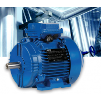 cemp防爆電動(dòng)機(jī)TC.. 80MA2用于一般工業(yè)應(yīng)用