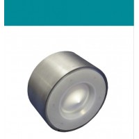 interapp WPCV金屬閥體彈簧輔助對夾式提升閥芯止回閥