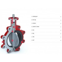 bray高壓應(yīng)用支耳式襯膠蝶閥31H系列雙向氣泡級(jí)密封
