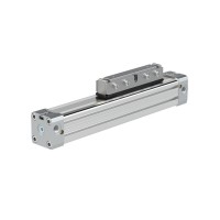 riegler ZRL1C過濾無潤滑或有潤滑的壓縮空氣無桿氣缸