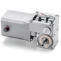 Mini Motor 蝸輪蝸桿直流減速電機BC2000-24MP，永磁直流電，全封閉