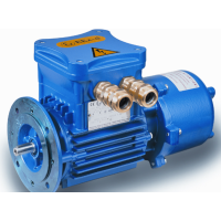 CEMPIEC危險(xiǎn)區(qū)域制動(dòng)電機(jī)E..HB / E..HC IE3-IE4