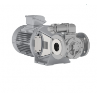 Johnson Pump 內(nèi)嚙合齒輪泵，適用于中等粘度、清潔和非磨蝕性液體