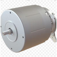 amer直流無(wú)刷電動(dòng)機(jī)BL80用于休閑和游樂(lè)場(chǎng)等