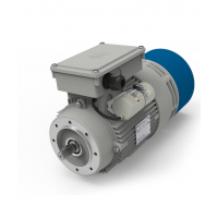 M.T.Motor電機(jī) 歐洲原廠 可提供報關(guān)單