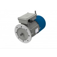 M.T. Motori MN 系列單相電動機提供 B3、B5 和 B14 法蘭