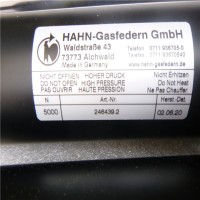 德國Hahn Gasfedern不銹鋼拉伸彈簧G08-19ST-28995國內(nèi)現(xiàn)貨